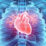 Almanya Kardiyoloji Doktoru Maaşları 2023