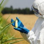 Almanya Ziraat Mühendisi Maaşları 2023