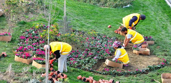 Almanya Bahçe İşçisi Maaşı